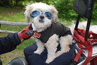 Eddie all geared up for a ride