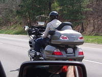 EZ Rider.  Too easy.  He had a box of dog food sandwhiched between his back and the back rest.